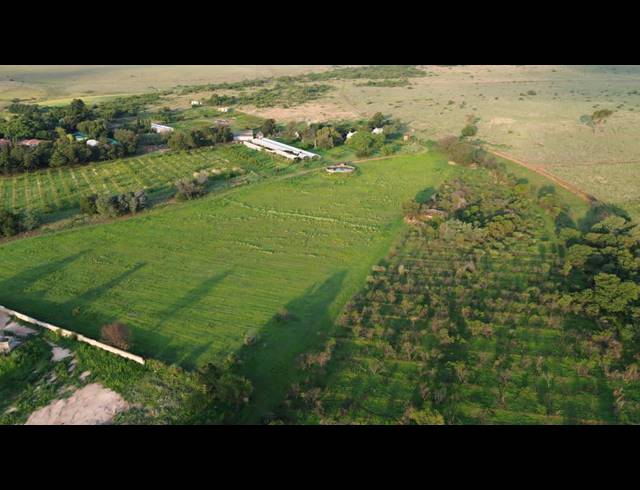 80HA FARM TO LET IN WESTONARIA RURAL